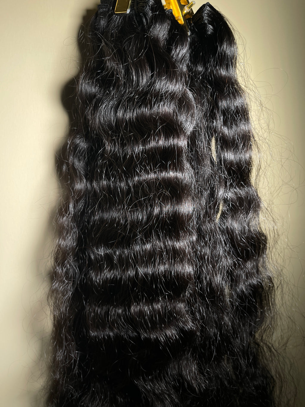 Indian Curly