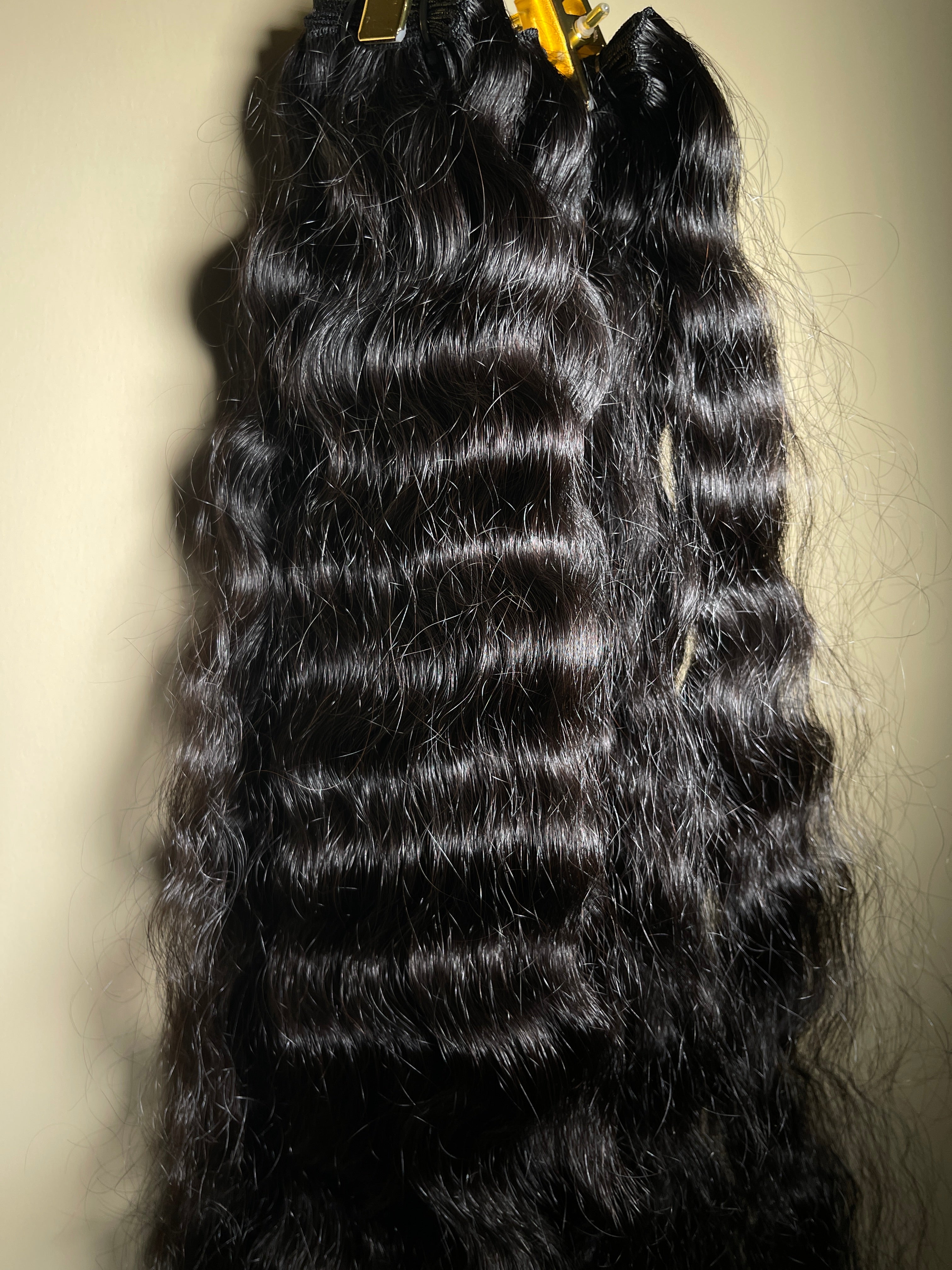 Indian Curly